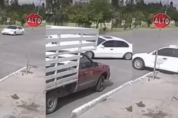 befunky_2026-1-6_6-33-53-scaled-1