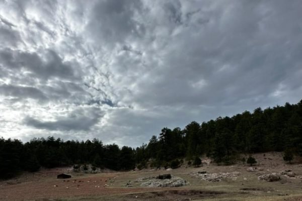 befunky_2026-3-1_10-38-49-scaled-1