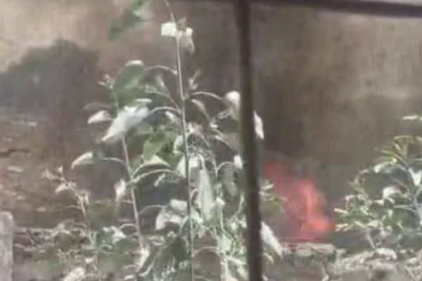 befunky_2026-3-1_8-25-55-scaled-1