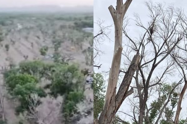 befunky_2026-3-2_12-41-59-scaled-1