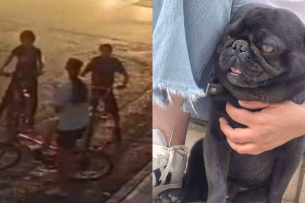 befunky_2026-3-5_12-55-30-scaled-1