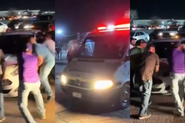 befunky_2026-3-6_13-20-42-scaled-1