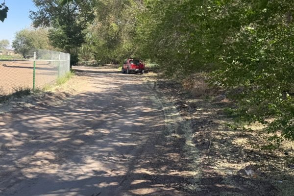 c4ead6e3-3bd8-4a36-8c8e-46d068ad6868