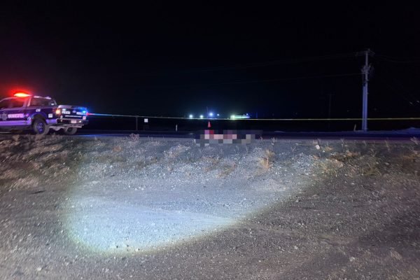 c63602c9-02a5-463c-b9a3-6b12a38e3dec