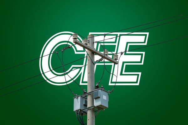 cfe_ingresos_2025