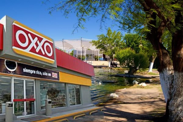 {"data":{"capability_name":"capcut_photo_editor","product":"vicut","source_platform":"mobile_1","region":"MX","os":"ios","source_type":"vicut","editType":"image_edit","pictureId":"C1CB2EF7-5E48-4A31-9D94-D3B57F7342F3","enterFrom":"image_edit_export_page","appVersion":"16.8.0","client_key":"aw889s25wozf8s7e"},"tiktok_developers_3p_anchor_params":"{"region":"MX","capability_name":"capcut_photo_editor","source_platform":"mobile_1","enterFrom":"image_edit_export_page","editType":"image_edit","product":"vicut","appVersion":"16.8.0","pictureId":"C1CB2EF7-5E48-4A31-9D94-D3B57F7342F3","source_type":"vicut","os":"ios","client_key":"aw889s25wozf8s7e"}","source_type":"vicut"}