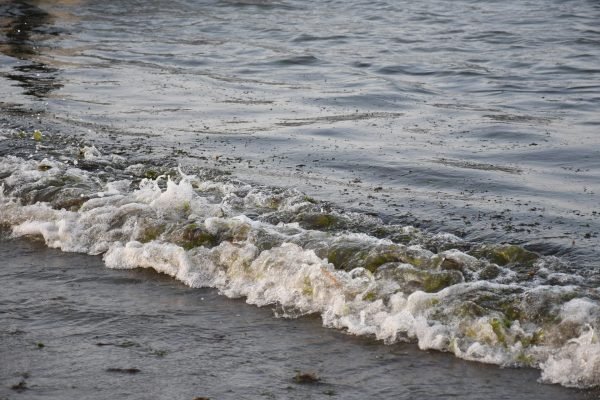 MEX7928. VERACRUZ (MÉXICO), 25/03/2026.- Fotografía que muestra una playa contaminada por derrame de combustible este martes, en Veracruz (México). El estado de Veracruz sufre desde hace 25 días la aparición de manchas de hidrocarburo en diversas regiones de su zona costera, sin que las autoridades hayan identificado el origen del derrame de crudo ni confirmado que se ha detenido. EFE/ Miguel Victória