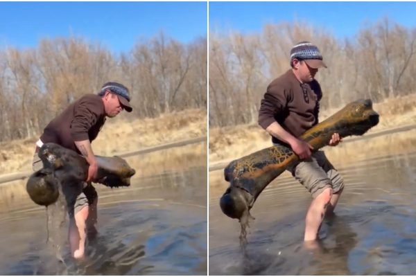 descubren_enorme_fxmur_de_mamut_en_rxo_de_missouri_tras_20_axos_de_bxsqueda_1