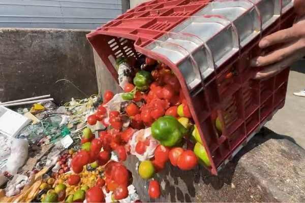 desperdicio-alimentos-203925