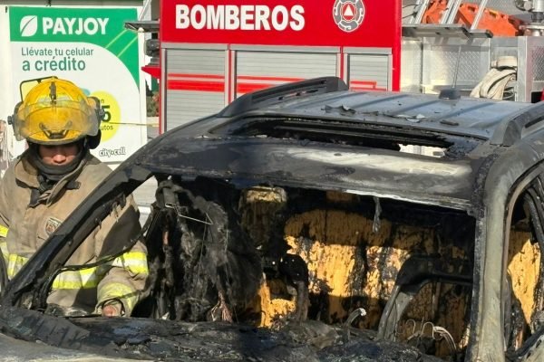 ec07428c-3076-410d-852b-72b9360169de