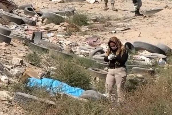 ec569676-20c6-4509-bb3f-737202fed126 ec569676-20c6-4509-bb3f-737202fed126