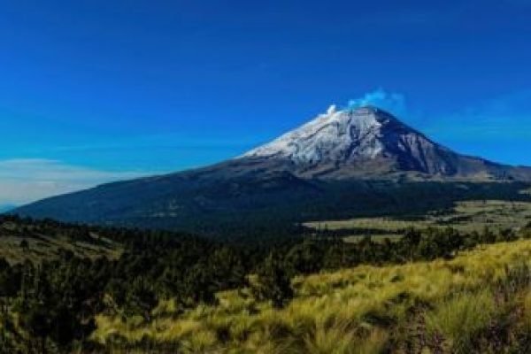 f414x232-296298_310037_5050