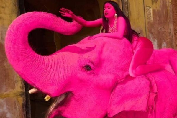 f768x1-1265816_1265943_5050