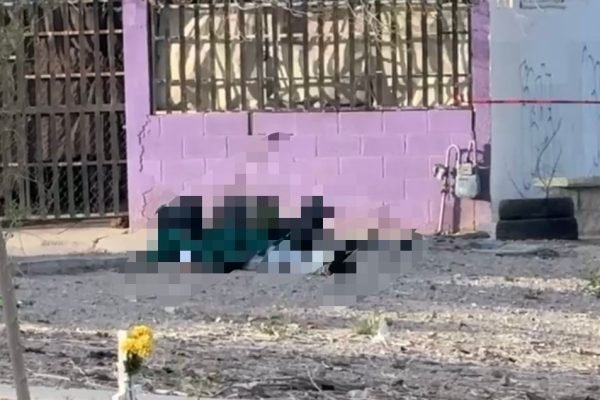 fafe5edf-e9f5-46a1-a9ed-29b99878df5c