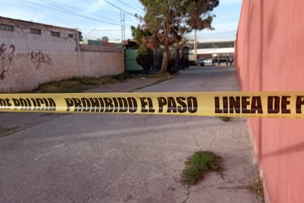 fe3c6497-cf3c-4962-ae6e-9e7a143734af