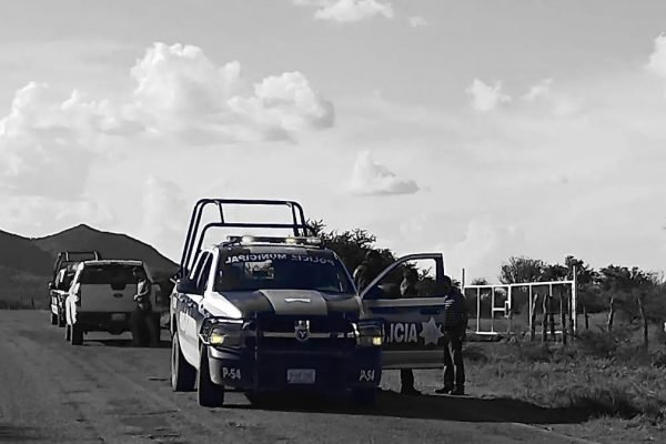 image-16-1 image-16-1