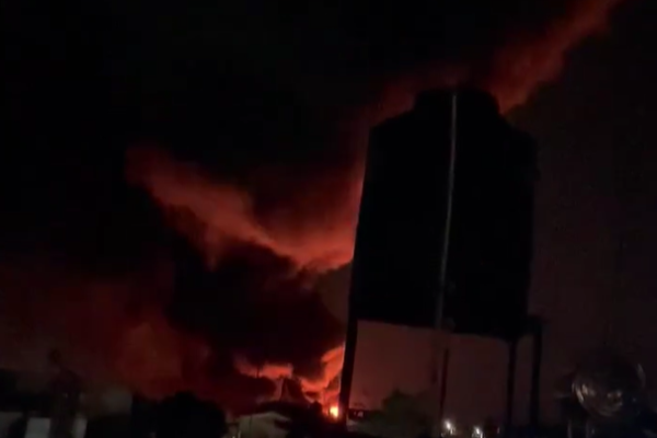 imagen_2026-01-12_195735911