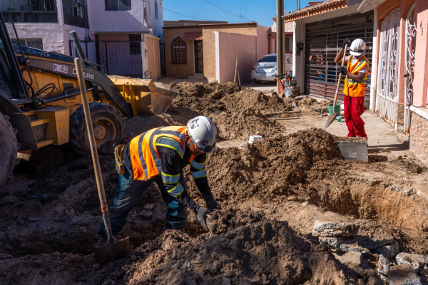 imagen_2026-02-05_102727749