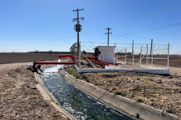 imagen_2026-02-14_033901556