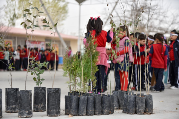 imagen_2026-02-14_102644821