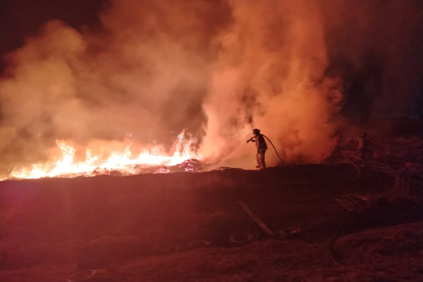 imagen_2026-02-17_084621178