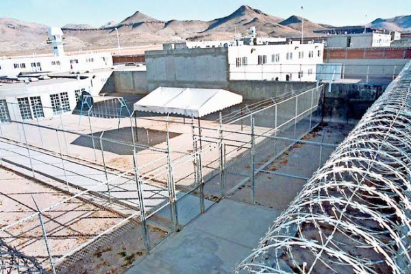 imagen_2026-02-20_083655744