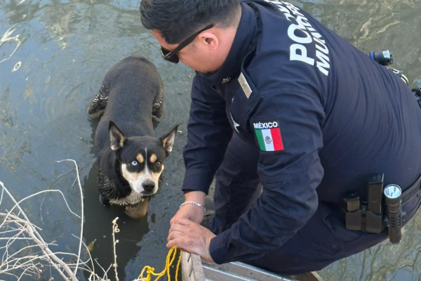 imagen_2026-02-20_092324979