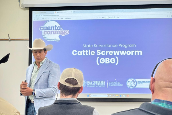 imagen_2026-02-25_100229741