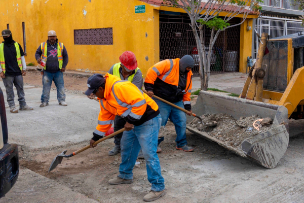 imagen_2026-03-11_091422339