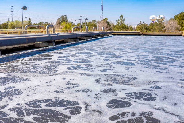 imagen_2026-03-13_083532720