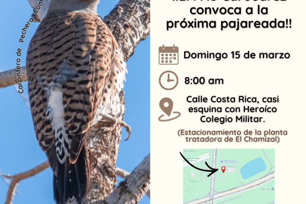 imagen_2026-03-14_105740667