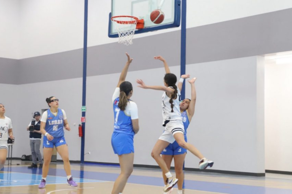 imagen_2026-03-14_110328759