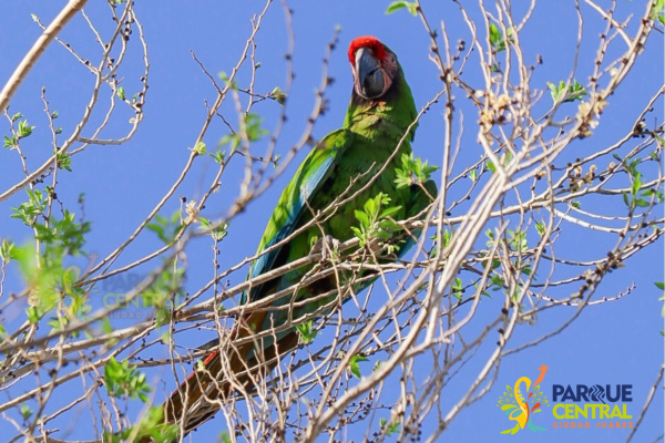 imagen_2026-03-23_091828952