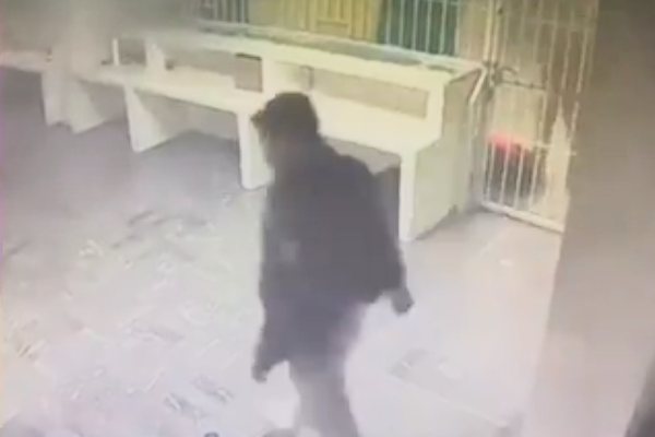 imagen_2026-03-28_030934215