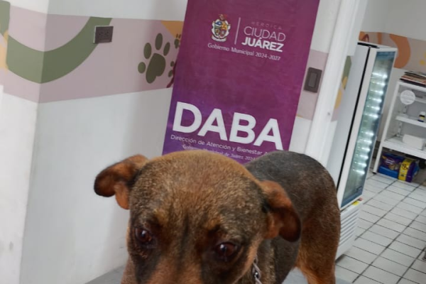 imagen_2026-04-02_082937863