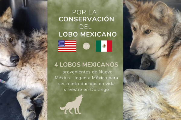 imagen_2026-04-02_090117266