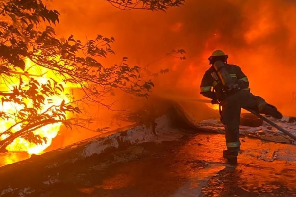 imagen_2026-04-04_031247374