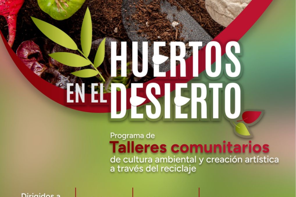 imagen_2026-04-04_033353058