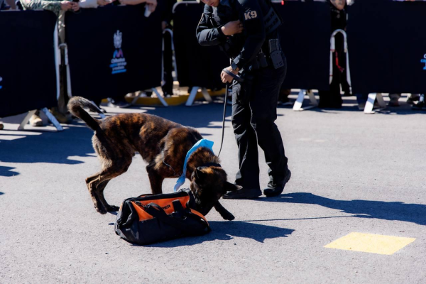 imagen_2026-04-08_085118976