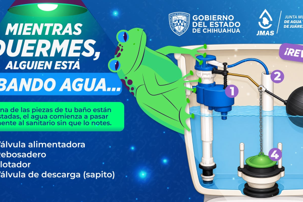 imagen_2026-07-20_084431668