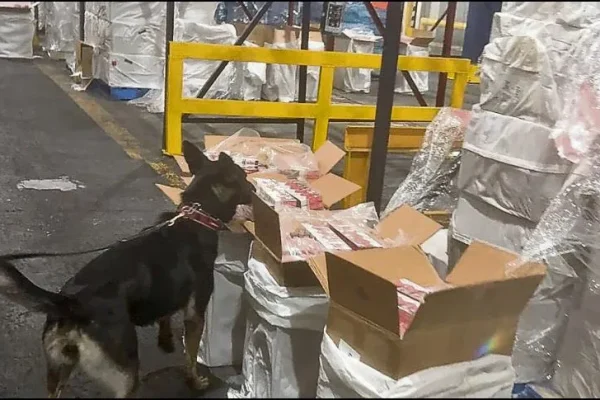 imagen_cymkimagen_g_7t_fwxeaa4ae3_crop1773732657413.jpg_1970638775