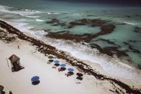 images-66