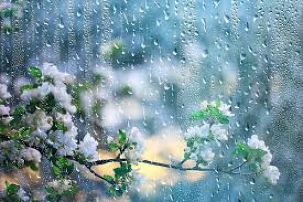 images-77