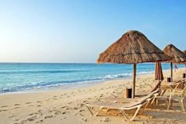 images-8