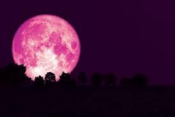 images-_3_