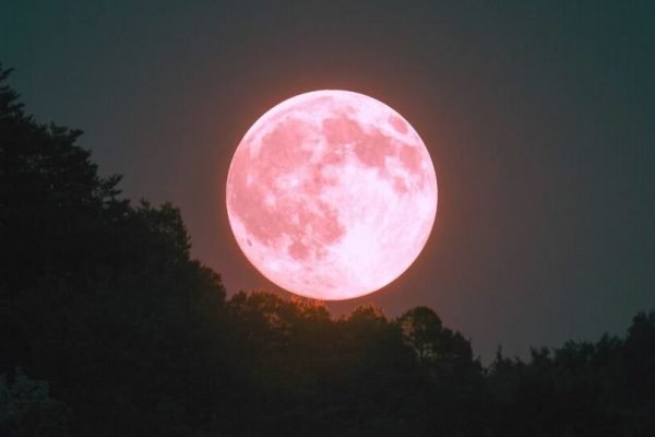 luna-rosa-origen-mexico-foto_154_34_955_538