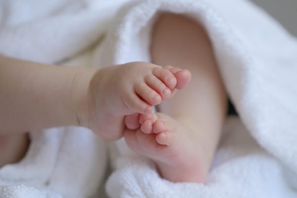 marjonhorn-baby-6823431_1920