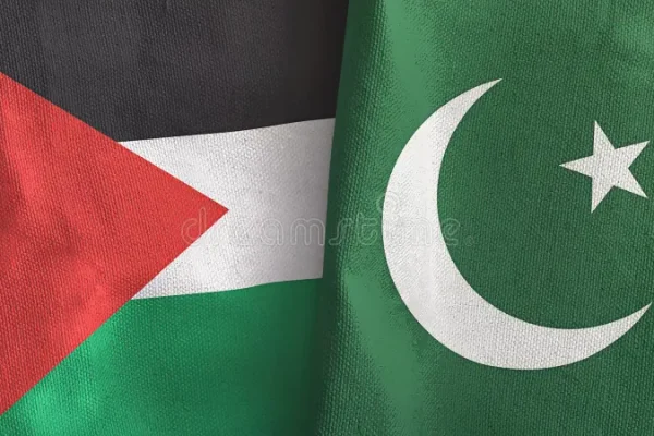 pakistan-y-palestina-dos-banderas-trapo-textil-d-representacion-dobladas-juntas-representando-205596148
