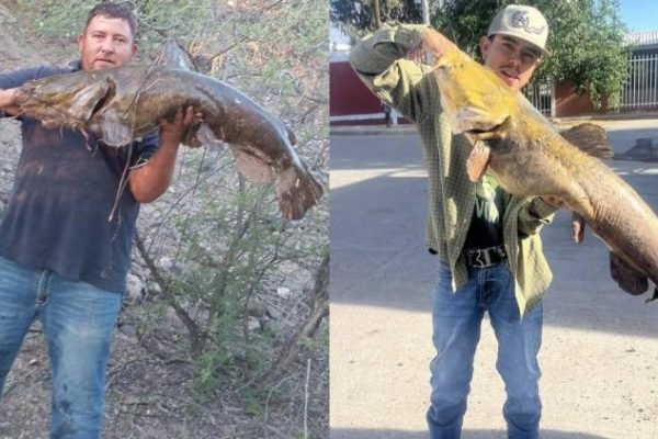 principal_bagre-rio-conchos