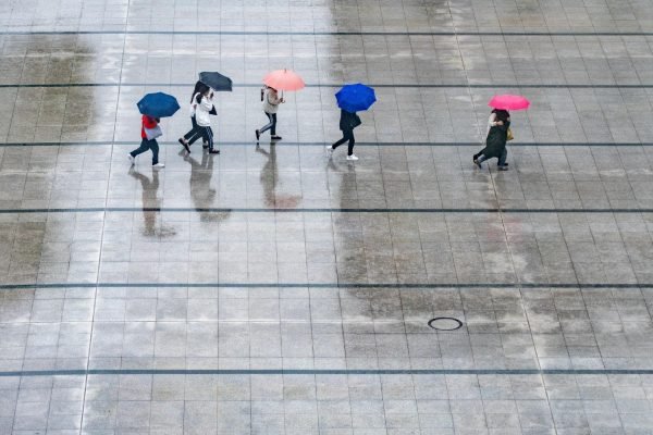 wal_172619-rain-7995866_1920